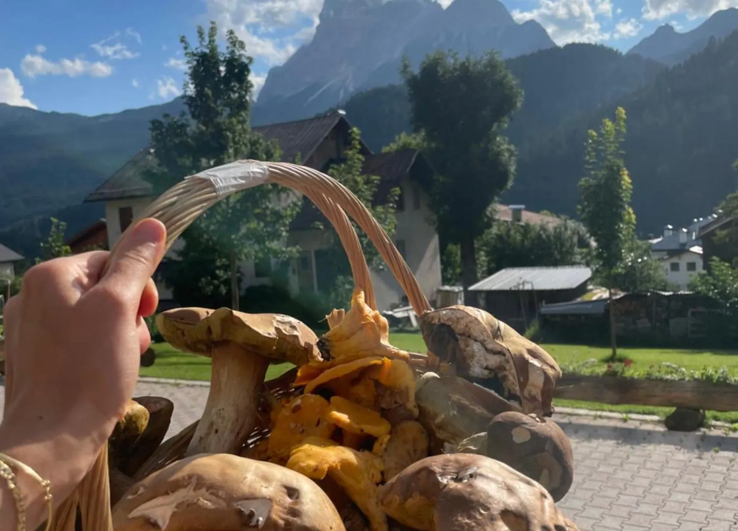 Hotel Oasi San Vito di Cadore 3*,  Italy