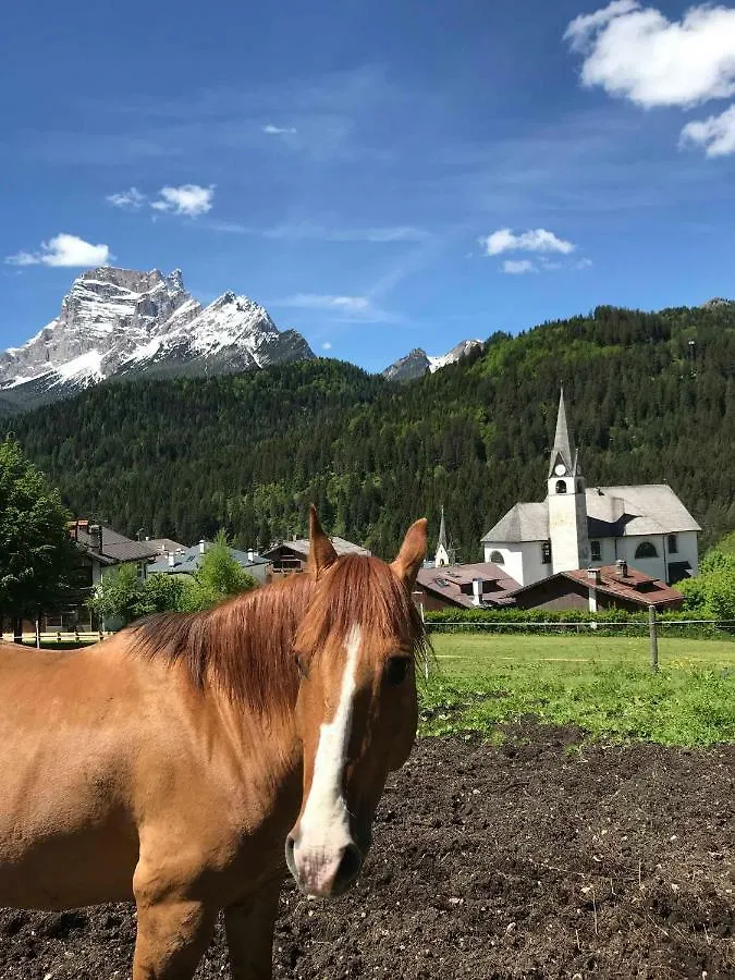 Hotel Oasi San Vito di Cadore